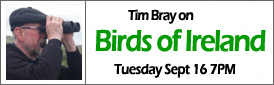 Tim Bray on Birds of Ireland